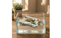 Buoyant Raft with Turtle Resin Buoyant Turtle Ornament Decorative Pond Decoration for Water Features