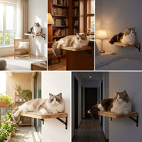 Cat Shelves Climbing Wall Activity Center with Enclosed Shelter, 5-Level Wood Set, Wall Mounted Scratching Posts for Large Indoor Cats and Kittens