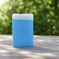 Reusable Ice Brick Box for Cooler Bags - Food & Beverage Preservation, Refrigeration, and Cooling