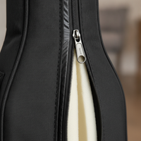 Electric Guitar Gig Bag, 39-inch, Thickened Waterproof Padded Backpack Case for Electric Guitars