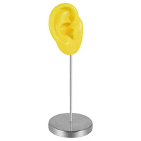 Washable Ear Display Model with Stand Stable Ear Model with Stand Reusable Lightweight for Jewelers