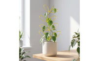 Decorative Leaf-Shaped Trellis Stylish Climbing Plant Trellis Wire Climbing Plant Support Sturdy for Indoor Gardeners, Potted Plants, Shelf Displays