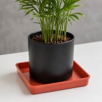 40cm Square Flower Pot Saucer, Red Synthetic Flower Pot Tray, for Indoor and Outdoor Plants