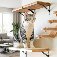 Cat Shelves Climbing Wall Activity Center with Enclosed Shelter, 5-Level Wood Set, Wall Mounted Scratching Posts for Large Indoor Cats and Kittens
