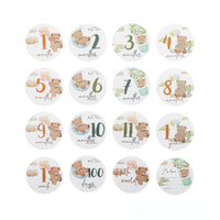 14 Pieces Baby Milestone Cards Pastel Milestone Card Set with Teddy Bear Cute Whimsical for Parents, Nursery Photos, Scrapbook