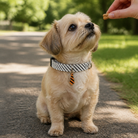 Pet Cat Dog Bow Tie Collar Adjustable for Small Dogs & Cats, Lightweight Gentleman Wedding Decoration