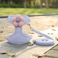 Cat Vest Harness and Leash Set, Adjustable Vest Style Harness for Outdoor Walking, Kitten and Small Cat Walking Harness with Leash Included