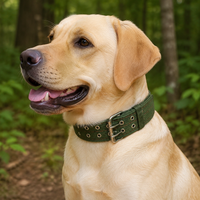 Nylon Webbing Dog Collar, Adjustable, Durable, for Small, Medium, Large Dogs, Walking, Training