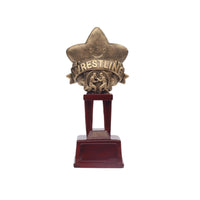 Star Trophy Decorative Award Trophy Display Ready Ornament for Students, Athletes