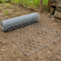 Hexagonal Wire Dog Fence, Galvanized Chicken Wire Mesh, 70x90mm Opening, Low Carbon Steel Silver Dog Fence for Livestock