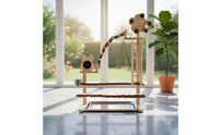 Parrot Activity Center Wooden Bird Playground with Ladder Parrot Playstand