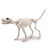 Dog Skeleton Standing Skeleton Dog Realistic for Spooky Attraction
