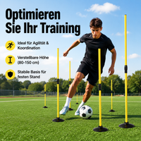 training slalom pole