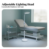 High Color Rendering Adjustable Gooseneck Examination Lamp Flicker-without Flicker Rolling Base Esthetician Light Energy Saving Rolling Base Esthetician Lamp 8x Magnification for Artists, Dermatologists, Professionals