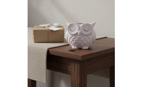 Cute Ceramic Owl Planter Easy to Clean Home Decor Multi Purpose for Desktop