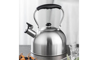 Steaming Kettle Heat-Resistant Handle Whistling Kettle Easy to Clean Stainless Steel Tea Pot for Families, Kitchen
