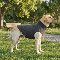 Dog Comfort Vest for Calming Relief, Polyester Jacket Vest in a Casual Style for Autumn Wear, Pet Calming for Visits and Separation