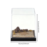 Diorama Base with Acrylic Cover Realistic Model Display Case with Terrain Transparent Miniature Scene Display for Home Decor