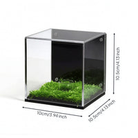 Transparent Acrylic Display Cube with Grass Base Dust-Resistant Display Box with Panel Lightweight Showcase Modern for Hobbyists