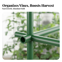 Easy Assembly Tomato Frame Sturdy Construction Vegetable Support Frame Versatile Shape Adjustable Vegetable Trellis Heavy Duty for Gardeners, Home Growers, Homeowners, Rooftop, Patio, Greenhouse, Pots