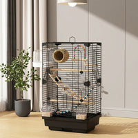 Bird Cage for Small Birds, 2-Tier Transparent Cockatiel Home with Accessories, Rectangular Ornamental Indoor Setup, Acrylic and Steel Framework