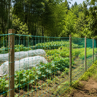 Synthetic Chicken Coop Netting, Dark Green Net, 3 cm, Support Rope Included, Weather-Resistant