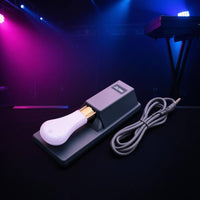 Universal Compatibility Keyboard Modulation Pedal 2 in 1 Keyboard Volume Pedal Polarity Switch Audio Gear No Battery Needed for Stage, Studio