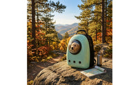 Ventilated Space Capsule Pet Backpack Zipper Closure Space-Capsule Pet Carrier Top Handle