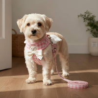 Harness and Leash Set Adjustable Chest Strap Breathable Dog Harness for Small Dogs, Young Dogs, Outdoor, Walking