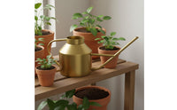 Stainless Steel Watering Can Rust Resistant Garden Supply Easy to Pour