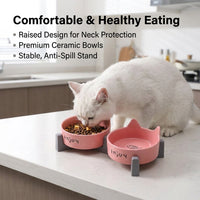 Elevated Ceramic Dog Bowls with Stand, Double Cat Bowls for Neck Strain, Spill-resistant Pet Feeding Station for Digestive Issues