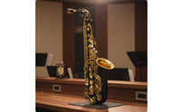 Hand Carved Engravings Eb Alto Saxophone Rich Tone Alto Saxophone Long-Lasting Brass Body for Beginners