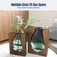 Modern Chinese Glass Vase, Minimalist Decorative Flower Holder, Home Living Room Entryway Hydroponic Decor