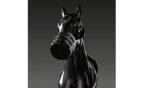 Padded Horse Muzzle with Halter Ventilated Horse Muzzle Lightweight Tack Nylon for Horses, Stable