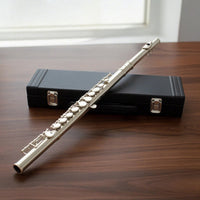 16-Key Flute with E Key Nickel-Plated Closed-Hole C Flute Woodwind Cupronickel Detachable for Beginners, Practice, Lessons