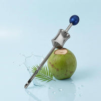 Manual Coconut Tool Pointed Tip Stainless Steel Opener Ball Handle for Kitchen