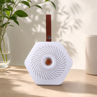Reusable Rechargeable Small Dehumidifier Cordless Hanging Dehumidifier Lightweight Hanging Humidity Absorber Silent for Wardrobe