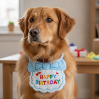 Pet Birthday Bandana and Hat Set for Cats and Dogs