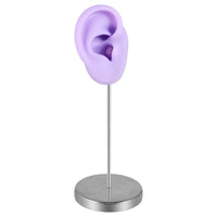 Washable Ear Display Model with Stand Stable Ear Model with Stand Reusable Lightweight for Jewelers