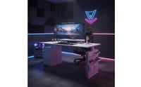 Twin Engine System Solid Wood Sit Stand Desk Quiet Operation Electric Standing Desk Spacious Desktop Height Adjustable Workstation Rounded Corners for Study Room