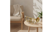 Cornet Kit Compact Cornet with Carrying Case Beginner-Friendly Brass Instrument for Students, Practice