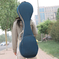 Pipa Case Portable Padded Pipa Bag Anti-Wear Feet Chinese Lute Bag for Storage