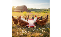 Automatic Chicken Feeder Waste-Reducing Design Chick Feeder Hanging Chicken Feed Bucket for Home Flock Raisers, Farm