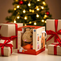 Stuffed Bunny with Carrot Giftable Stuffed Rabbit with Box Stuffed Rabbit Soft Stuffed Bunny Soft for Toddlers, Birthday Gifts