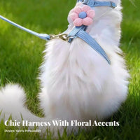 Easy to Wear Cat Harness and Leash Set Lightweight Escape Proof Kitten Harness Breathable for Cats, Kittens, Daily Walks, Travel, Vet Visits