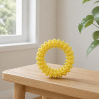 Pet Chew Toy Ring TPR Foam Durable Interactive Dog Toy for Small Medium Large Dogs