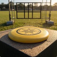 Molded Plastic 175 Gram Flying Disc Ridged Rim Ultimate Disc Printed Graphic Outdoor Toy Long-Lasting
