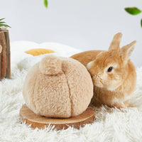 Boredom Relief Rabbit Gnaw Ball Stress Relief Small Pet Play Ball