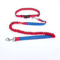 Woven Strap Pet Collar Leash Kit for Walking