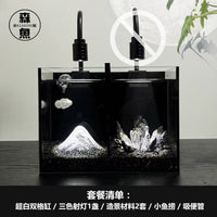 暗黑风鱼缸双格缸小型两个南美免换水超白玻璃黑背桌面斗鱼生态缸